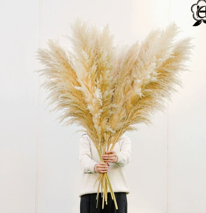 Ramo pampeano de pequeñas flores de caña seca