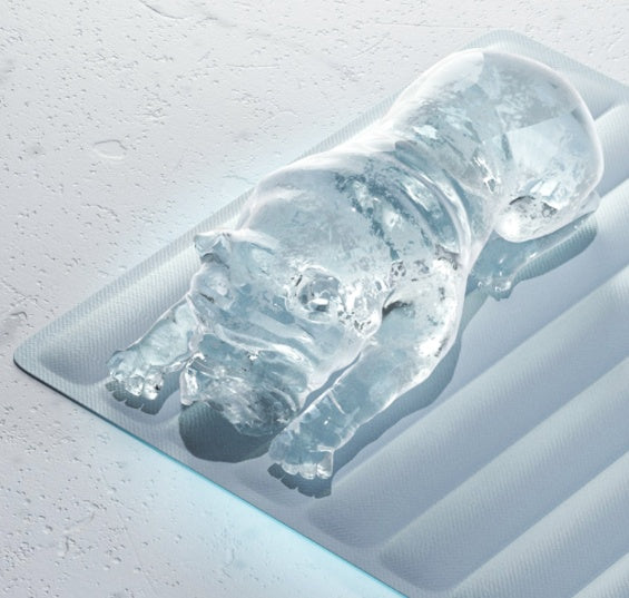 Haustier Eismatte Nest Gel Eismatratze Kühlkissen Matte Kühlmatte Kühlung