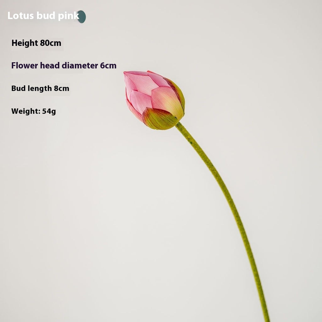 Flores Loto Vainas de Loto