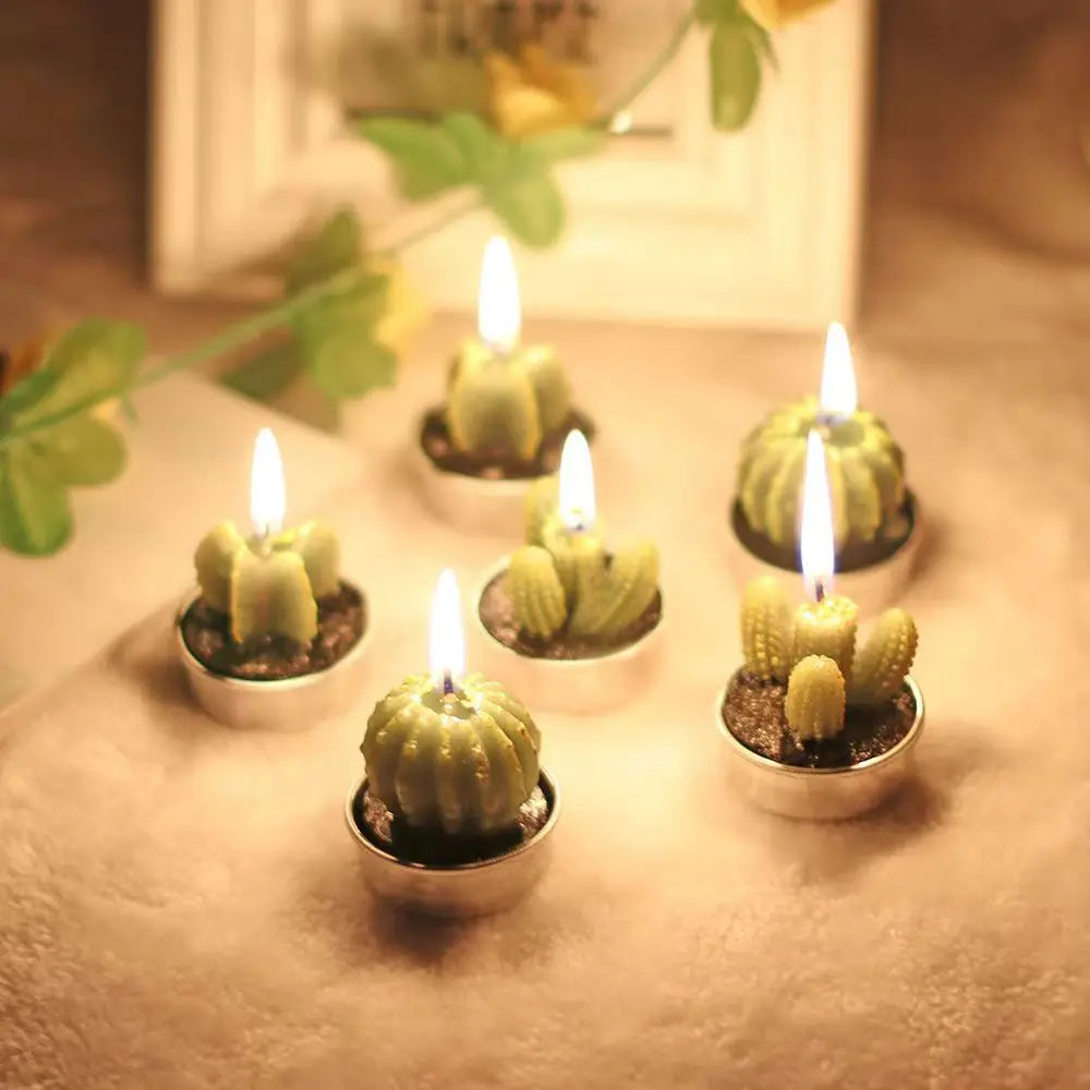 Candele per aromaterapia fatte a mano, piante succulente, rose creative, cactus.