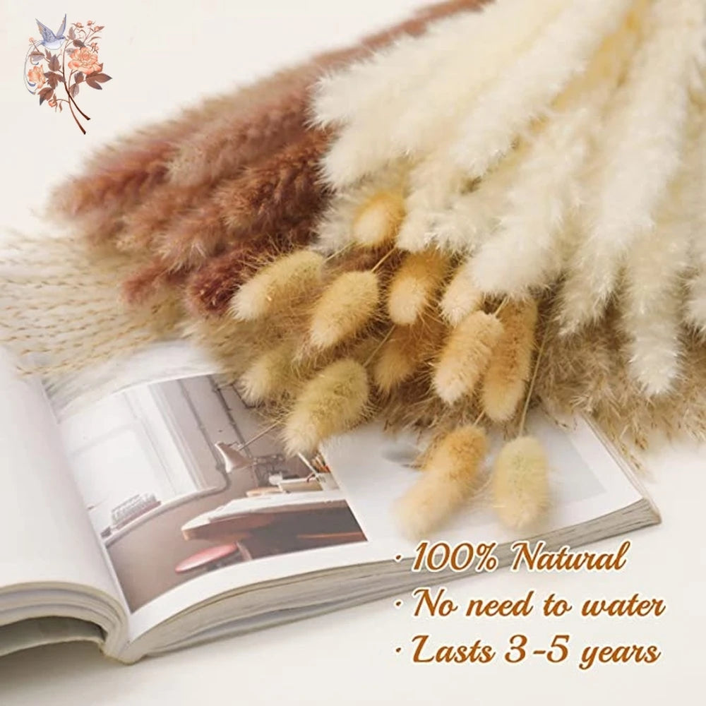 Natural Pampas Dried Flowers Bouquet Decoration
