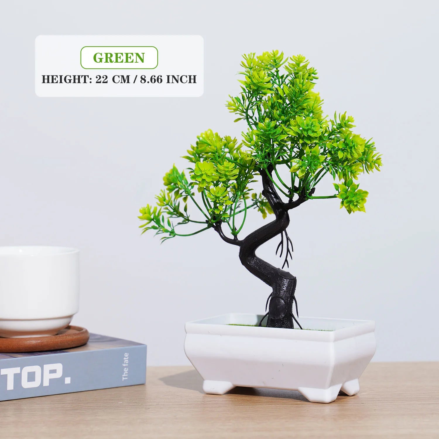 Piccolo albero, fiore, bonsai in vaso, decorazione per casa e ufficio.