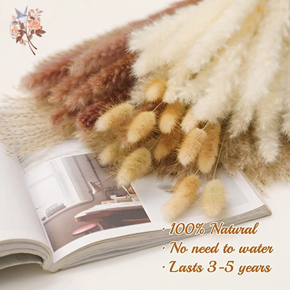 Natural Pampas Dried Flowers Bouquet Decoration
