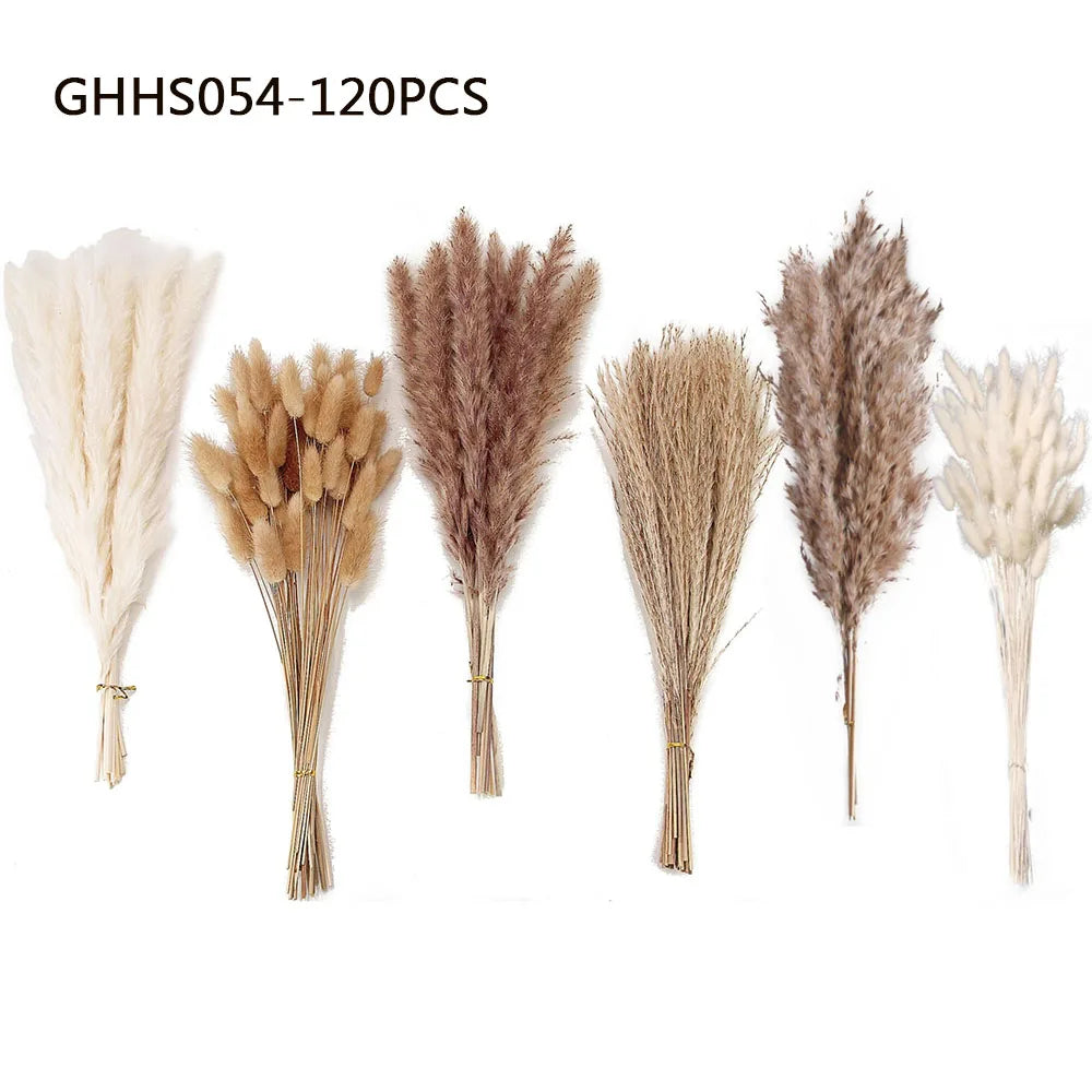 120 flores artificiales secas de cola de conejo de las pampas esponjosas