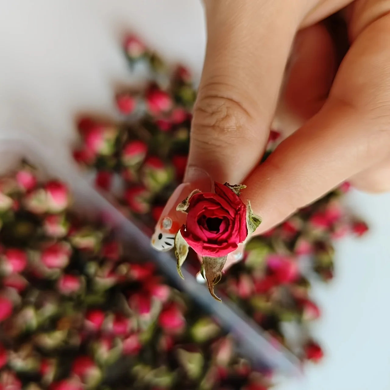 Rosa rosa seca, decoración para sala de estar, hecha a mano.