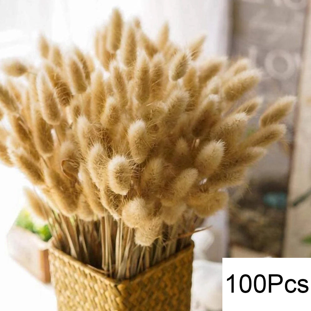 Natural Pampas Dried Flowers Bouquet Decoration