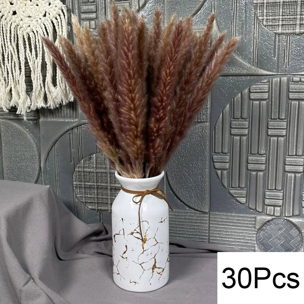 Natural Pampas Dried Flowers Bouquet Decoration