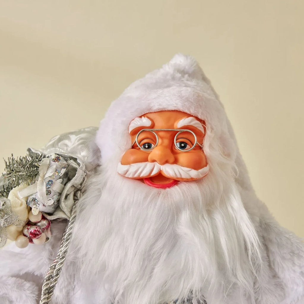 Ornamento natalizio di Babbo Natale - Statua 3D di uccello in plastica da 12,6 pollici.