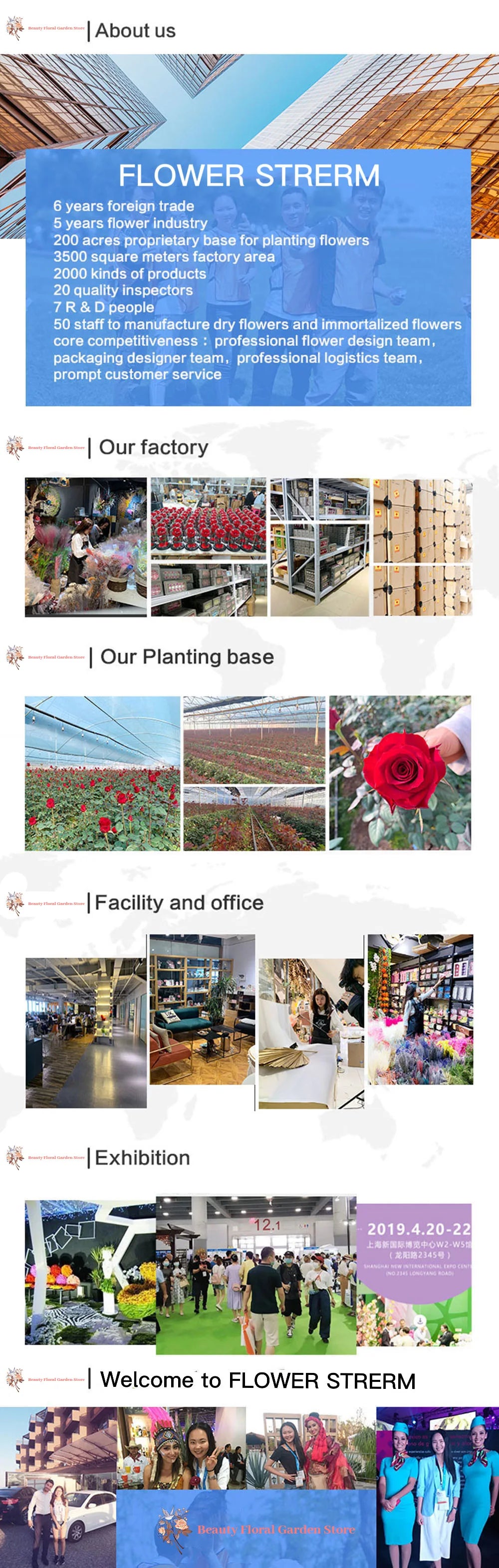 Natural Pampas Dried Flowers Bouquet Decoration