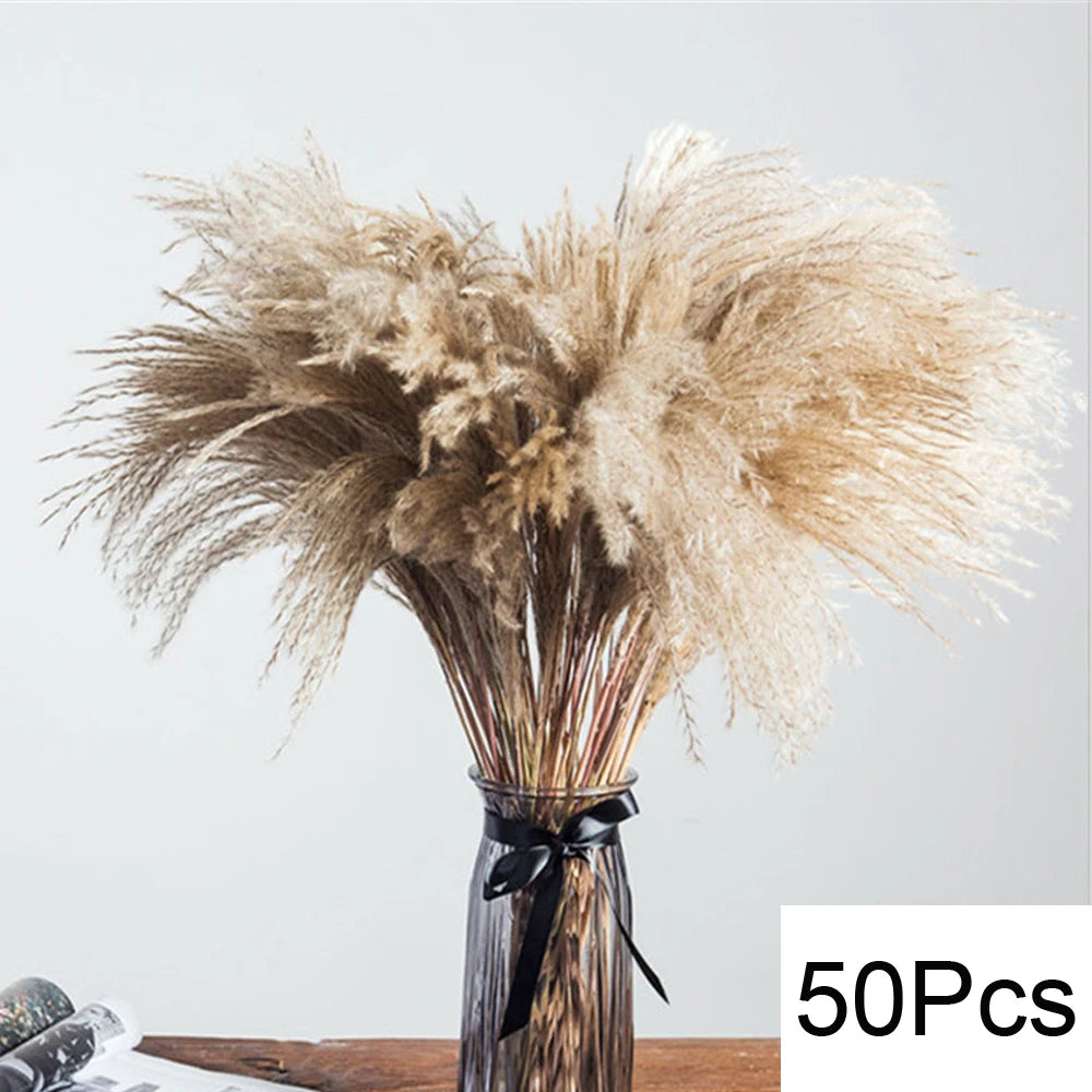 Natural Pampas Dried Flowers Bouquet Decoration