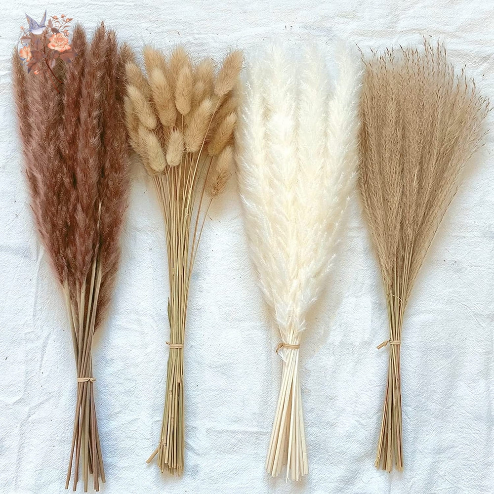 Natural Pampas Dried Flowers Bouquet Decoration