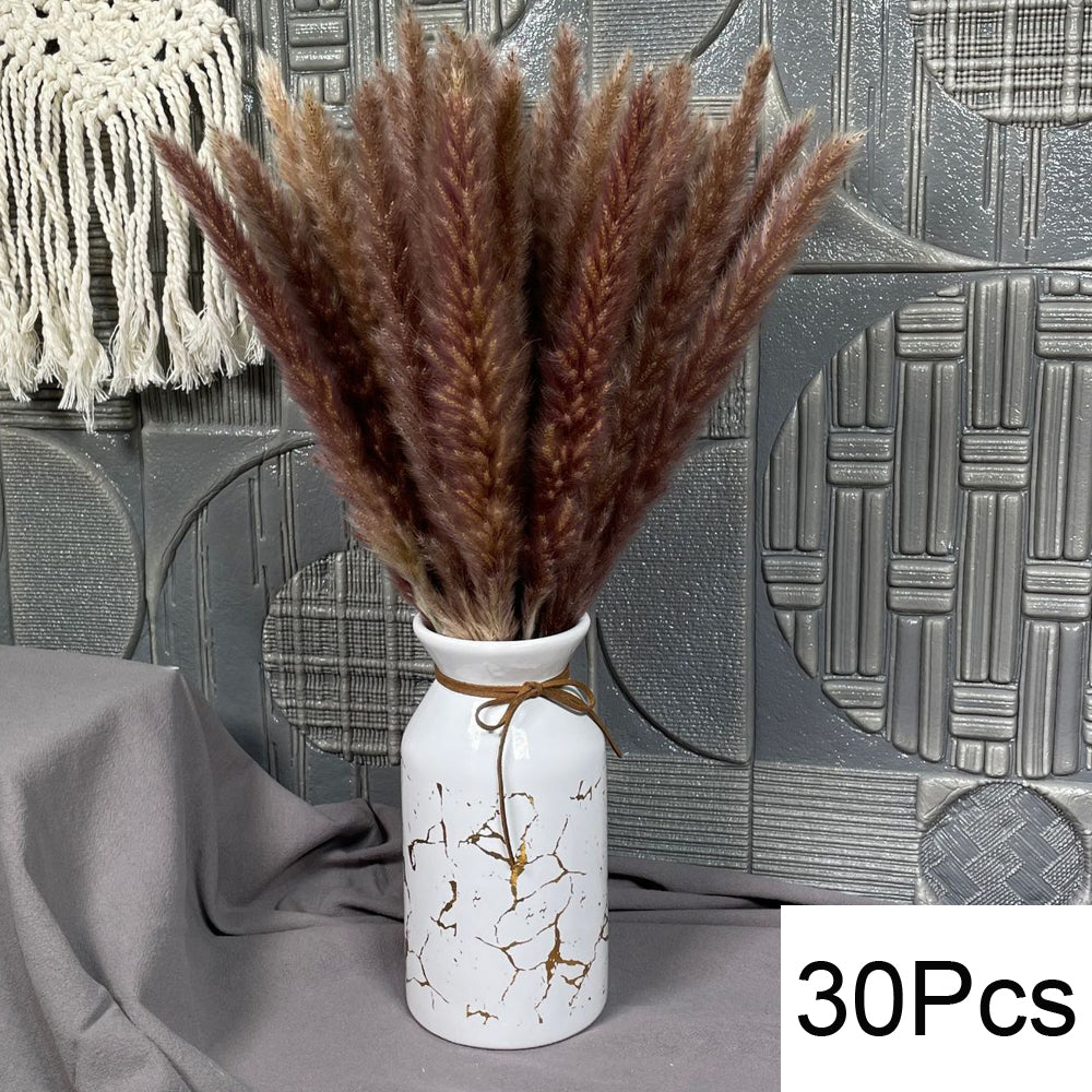 Natural Pampas Dried Flowers Bouquet Decoration