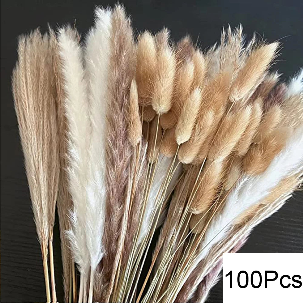 Natural Pampas Dried Flowers Bouquet Decoration