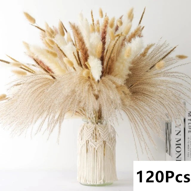 Natural Pampas Dried Flowers Bouquet Decoration