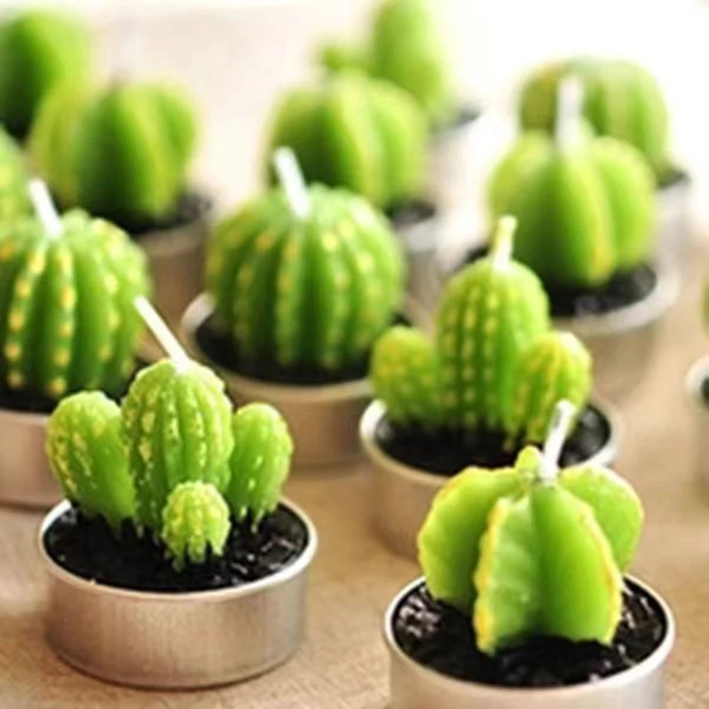 Candele per aromaterapia fatte a mano, piante succulente, rose creative, cactus.