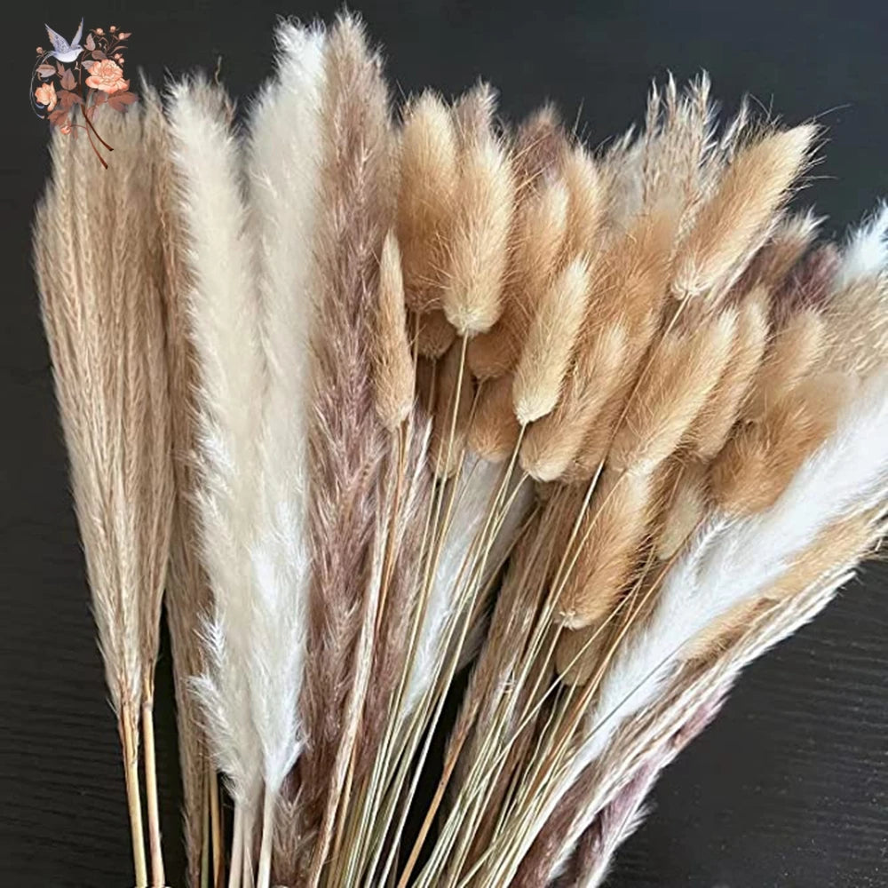 Natural Pampas Dried Flowers Bouquet Decoration