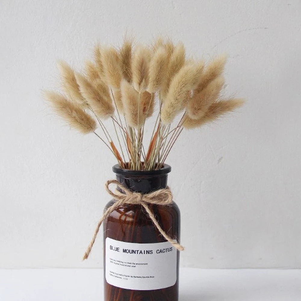 Hierba de cola de conejo seca natural de espiga de trigo real (50/100 piezas)