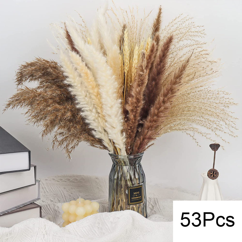 Natural Pampas Dried Flowers Bouquet Decoration