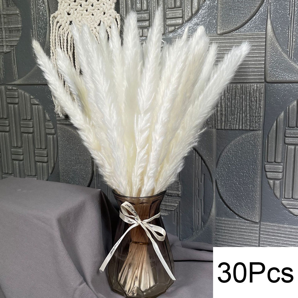 Natural Pampas Dried Flowers Bouquet Decoration