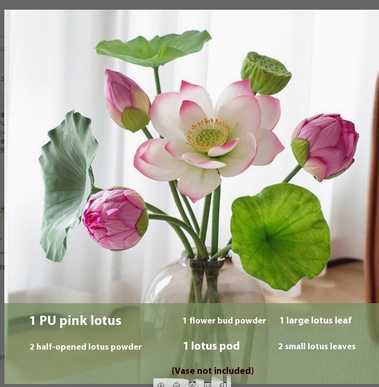 Flores Loto Vainas de Loto