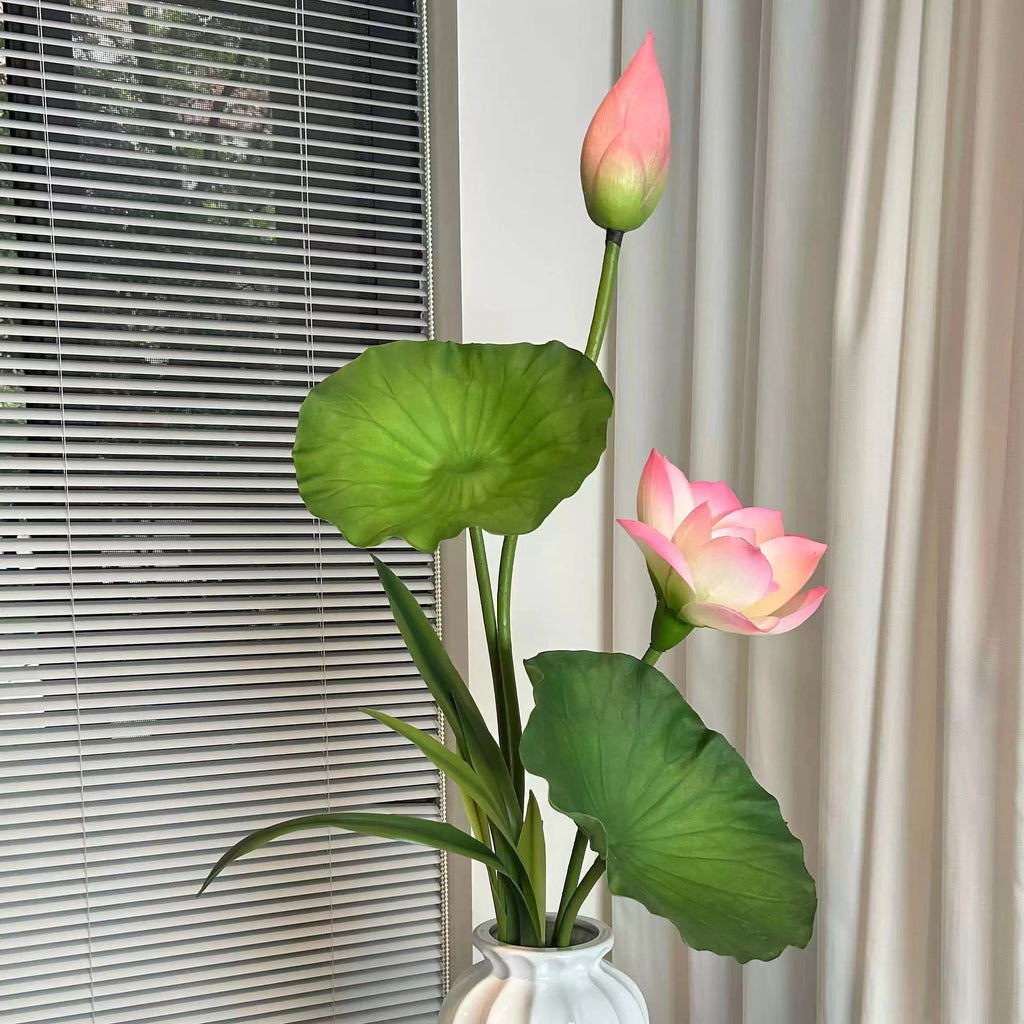 Flores Loto Vainas de Loto