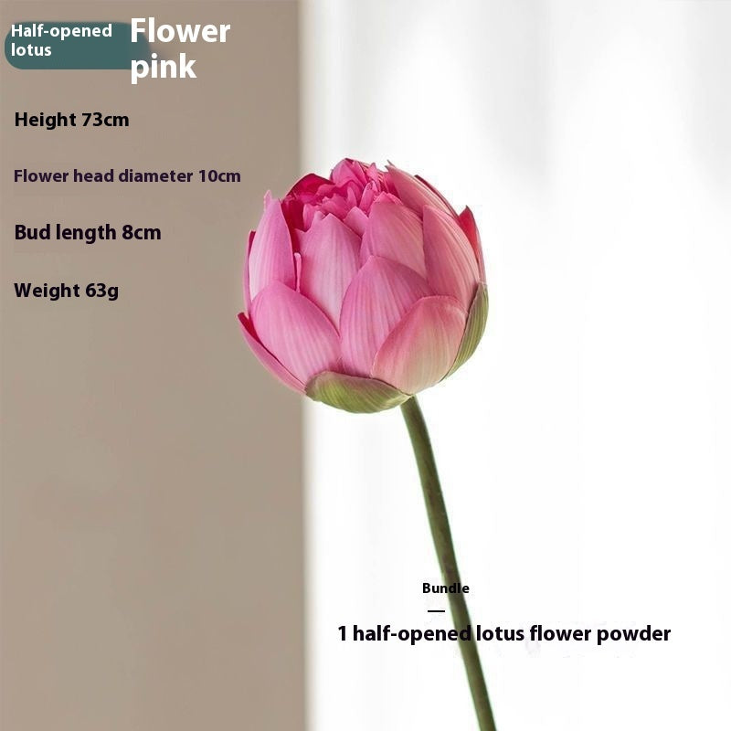 Flores Loto Vainas de Loto