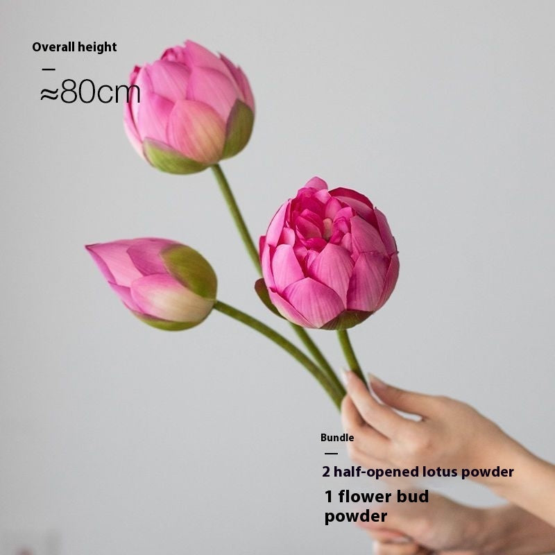 Flores Loto Vainas de Loto